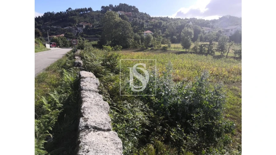 Terreno para Venda em Rossas Foto 13