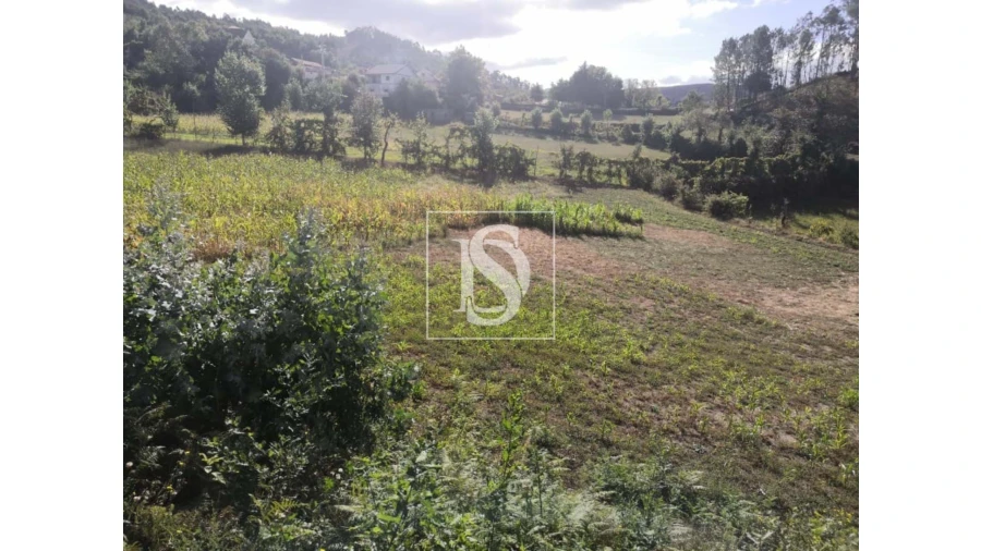 Terreno para Venda em Rossas Foto 16