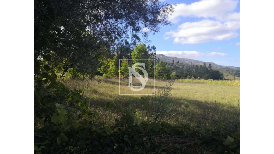 Terreno para Venda em Rossas Foto 17