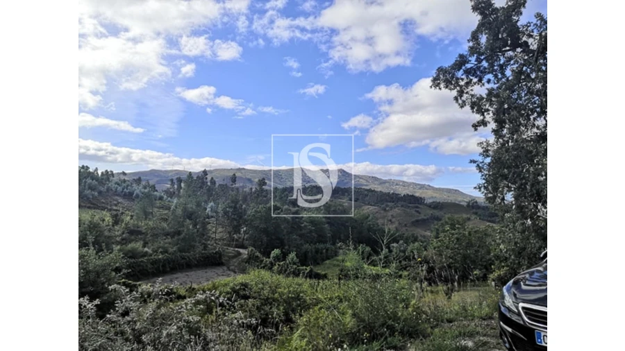 Terreno para Venda em Rossas Foto 14