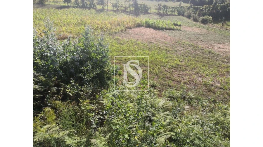 Terreno para Venda em Rossas Foto 18