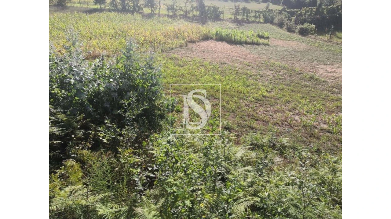 Terreno para Venda em Rossas Foto 18