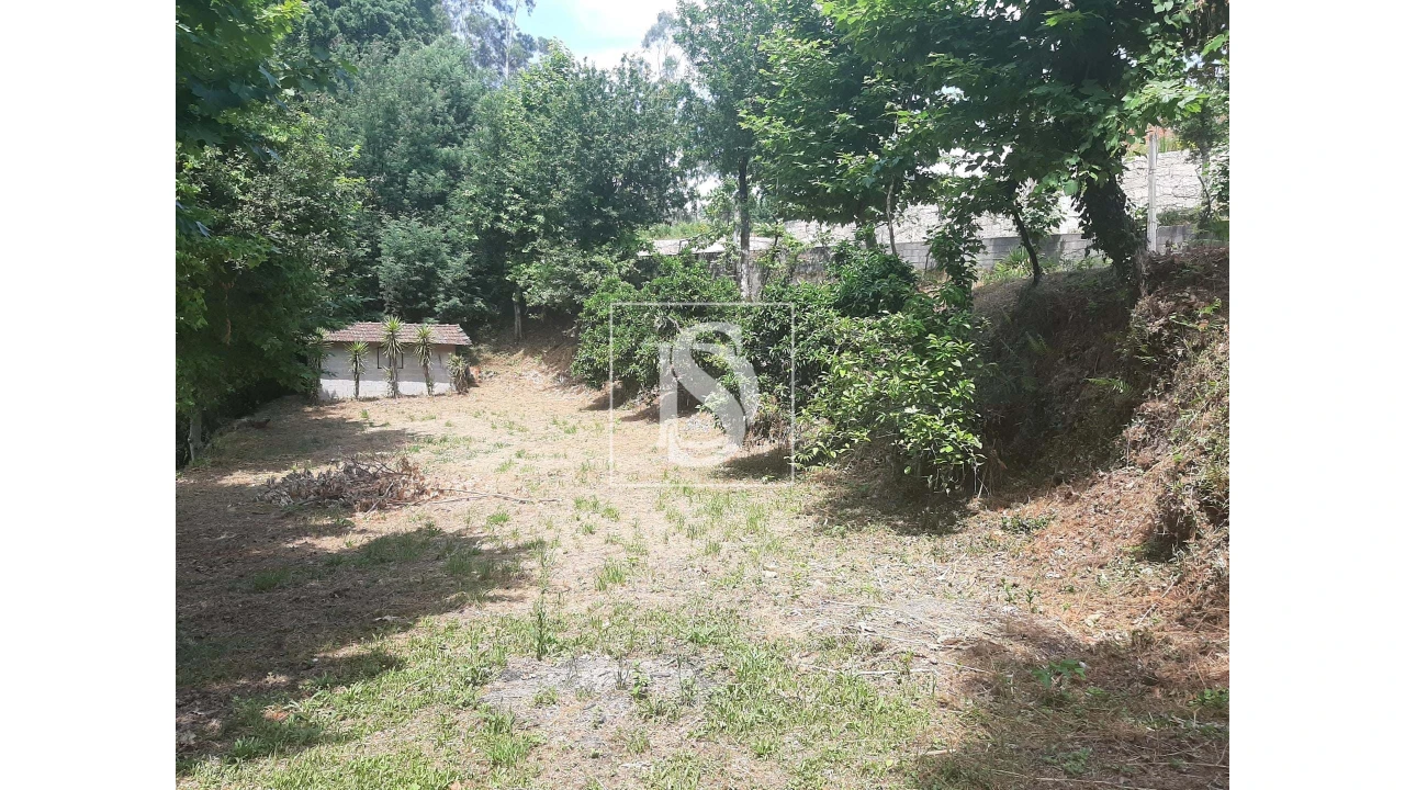 Terreno para Venda em Caniçada e Soengas Foto 4