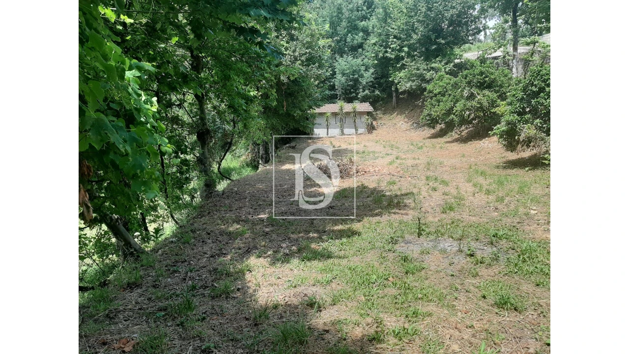 Terreno para Venda em Caniçada e Soengas Foto 6