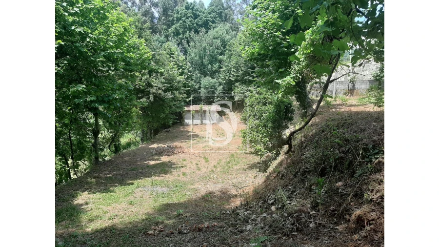 Terreno para Venda em Caniçada e Soengas Foto 2