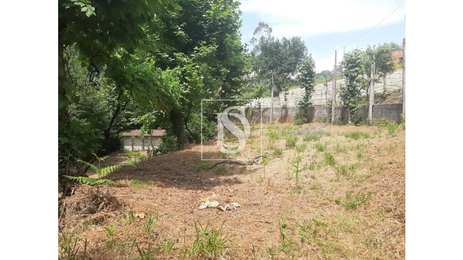 Terreno para Venda em Caniçada e Soengas Foto 7