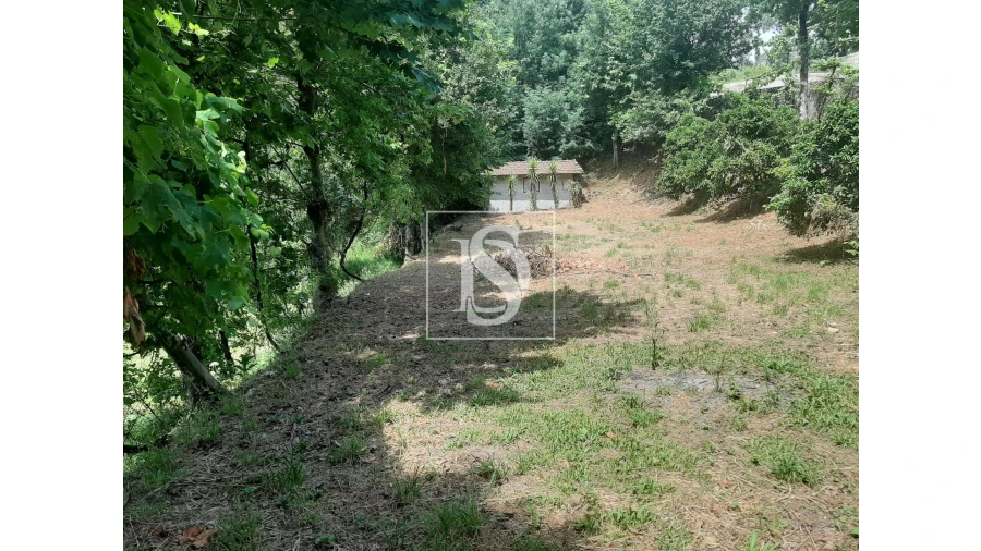 Terreno para Venda em Caniçada e Soengas Foto 6