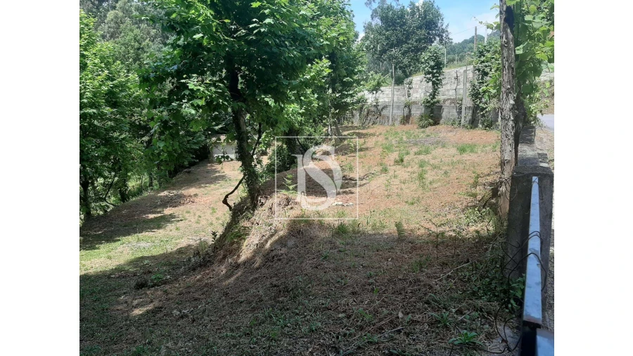 Terreno para Venda em Caniçada e Soengas Foto 1