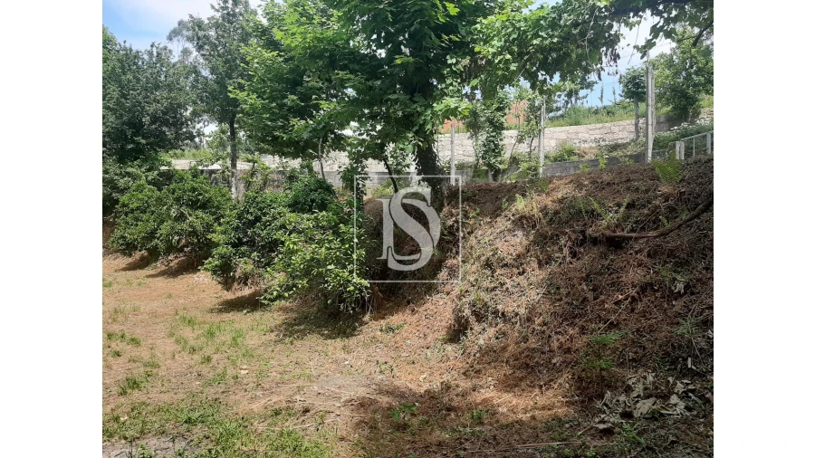 Terreno para Venda em Caniçada e Soengas Foto 5