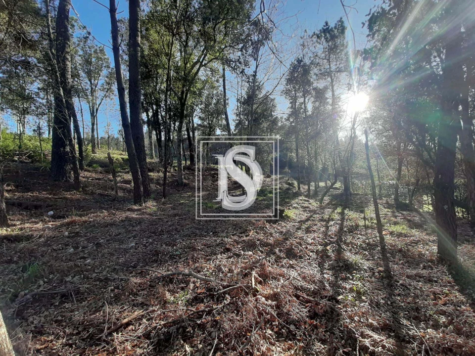 Terreno para Venda em Santa Clara de Louredo Foto 16