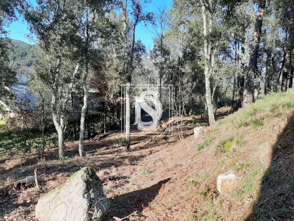 Terreno para Venda em Santa Clara de Louredo Foto 28