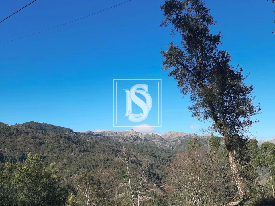 Terreno para Venda em Santa Clara de Louredo Foto 6