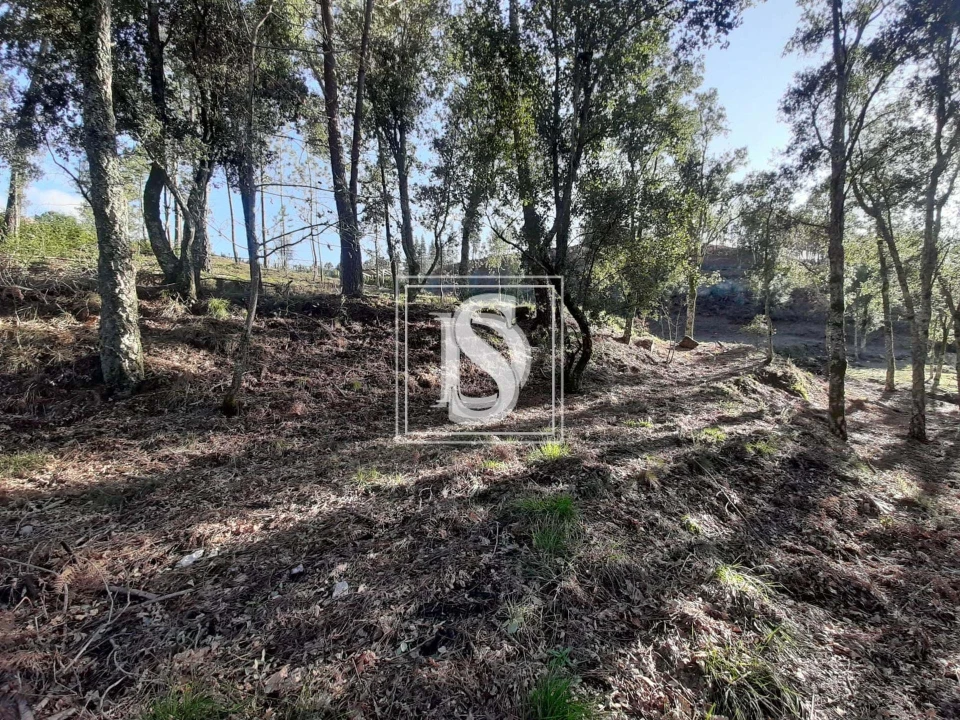 Terreno para Venda em Santa Clara de Louredo Foto 17