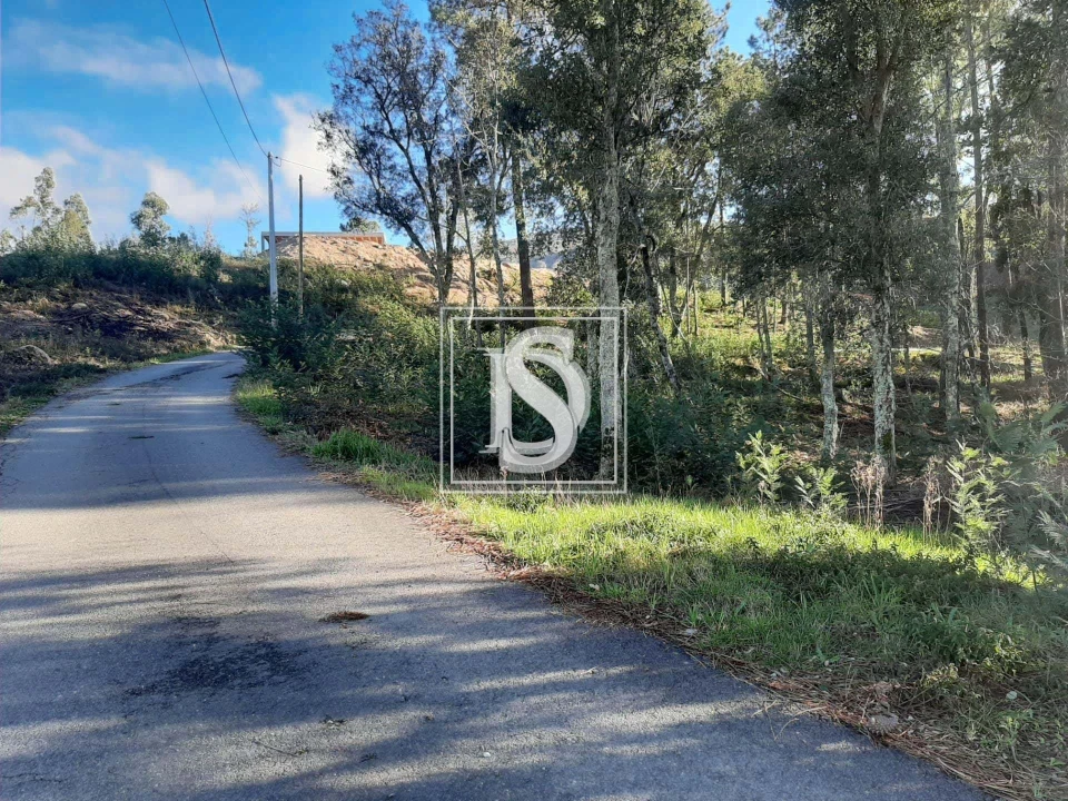 Terreno para Venda em Santa Clara de Louredo Foto 1