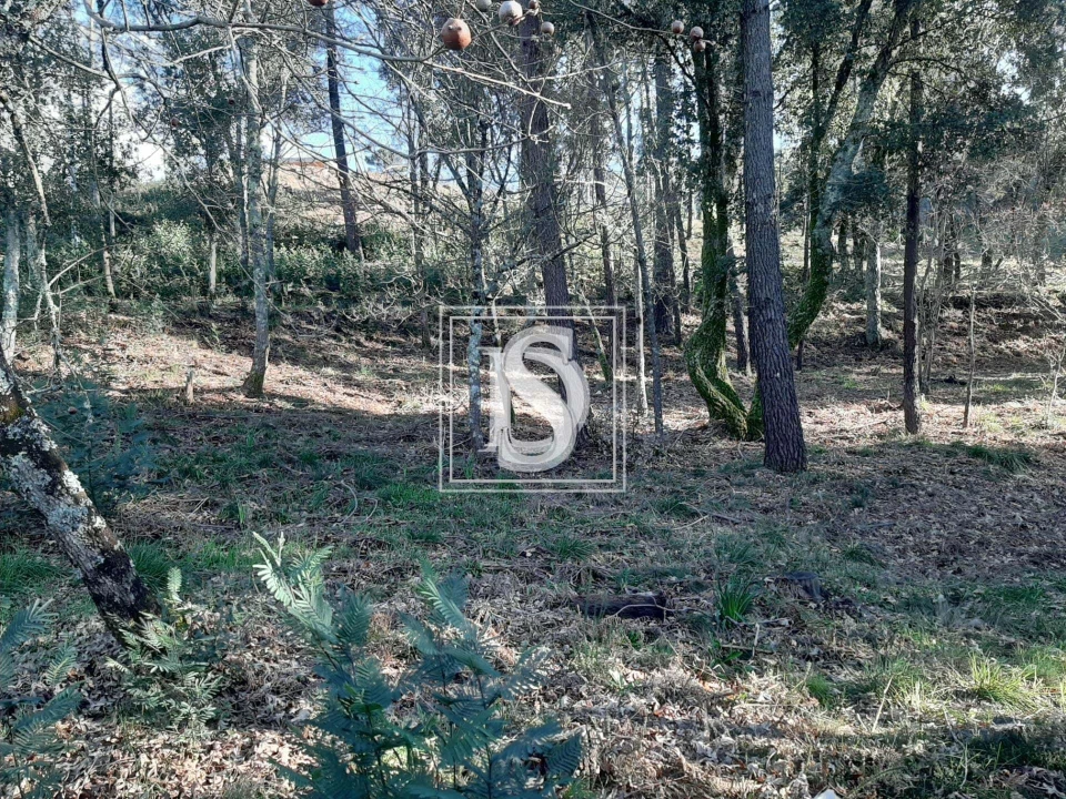 Terreno para Venda em Santa Clara de Louredo Foto 10
