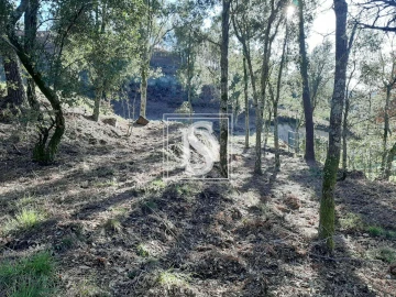 Terreno para Venda em Santa Clara de Louredo