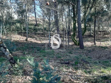Terreno para Venda em Santa Clara de Louredo