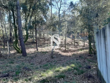 Terreno para Venda em Santa Clara de Louredo