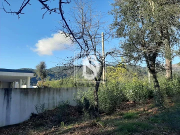 Terreno para Venda em Santa Clara de Louredo