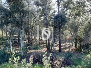Terreno para Venda em Santa Clara de Louredo