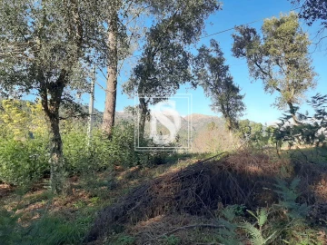 Terreno para Venda em Santa Clara de Louredo