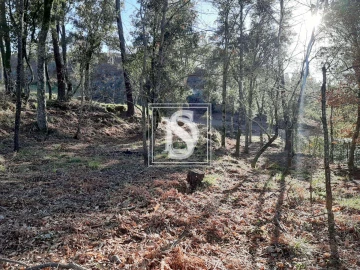 Terreno para Venda em Santa Clara de Louredo