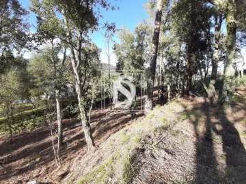 Terreno para Venda em Santa Clara de Louredo