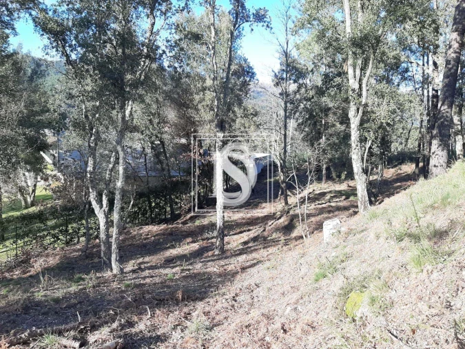 Terreno para Venda em Santa Clara de Louredo Foto 22