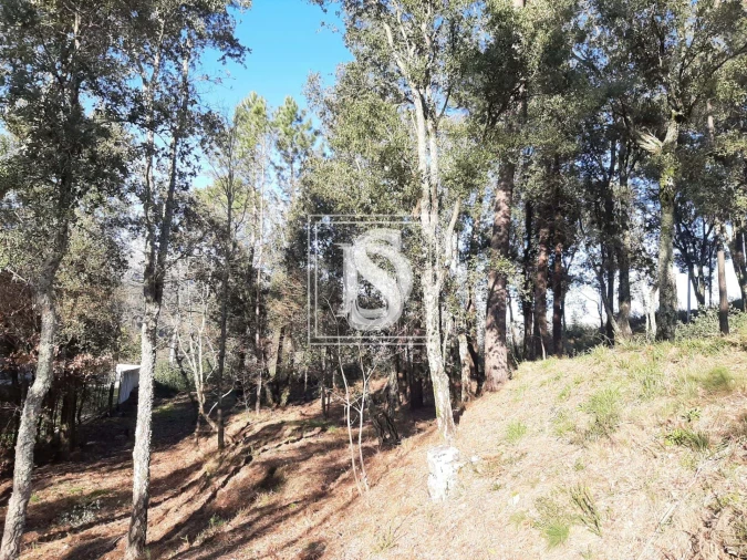 Terreno para Venda em Santa Clara de Louredo Foto 20