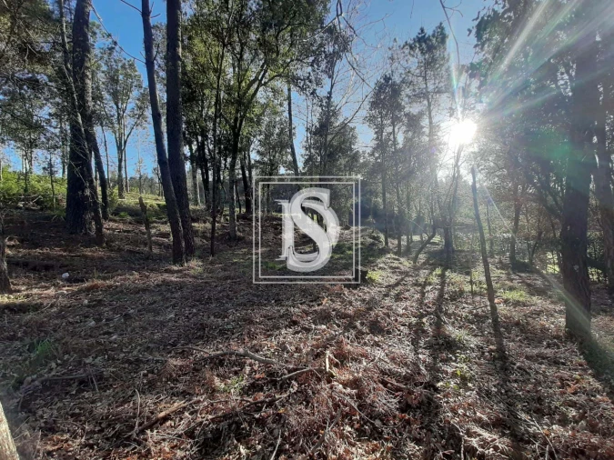Terreno para Venda em Santa Clara de Louredo Foto 16