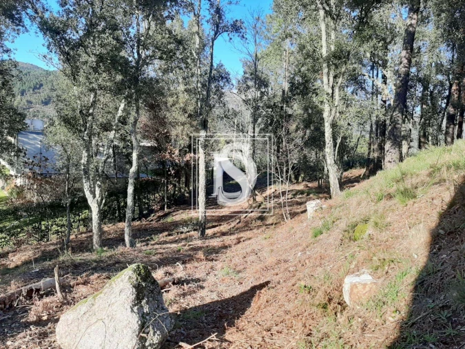 Terreno para Venda em Santa Clara de Louredo Foto 28