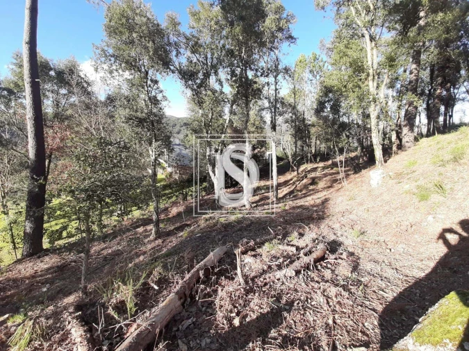 Terreno para Venda em Santa Clara de Louredo Foto 21