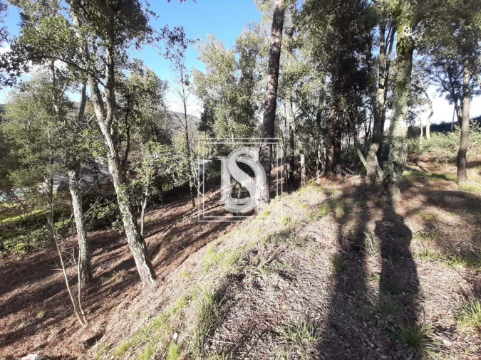 Terreno para Venda em Santa Clara de Louredo Foto 25