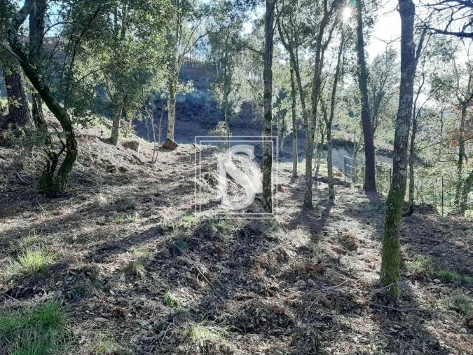 Terreno para Venda em Santa Clara de Louredo Foto 18