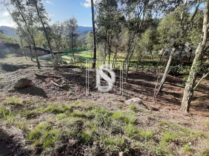 Terreno para Venda em Santa Clara de Louredo Foto 24