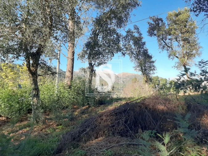 Terreno para Venda em Santa Clara de Louredo Foto 11