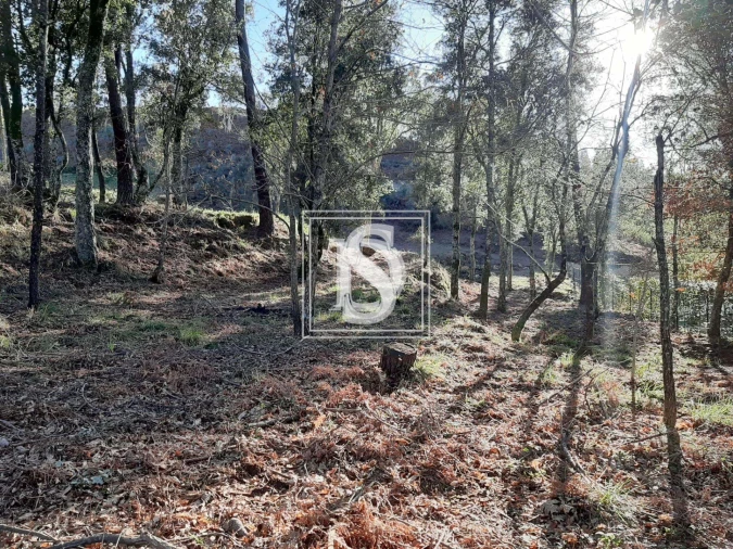 Terreno para Venda em Santa Clara de Louredo Foto 13