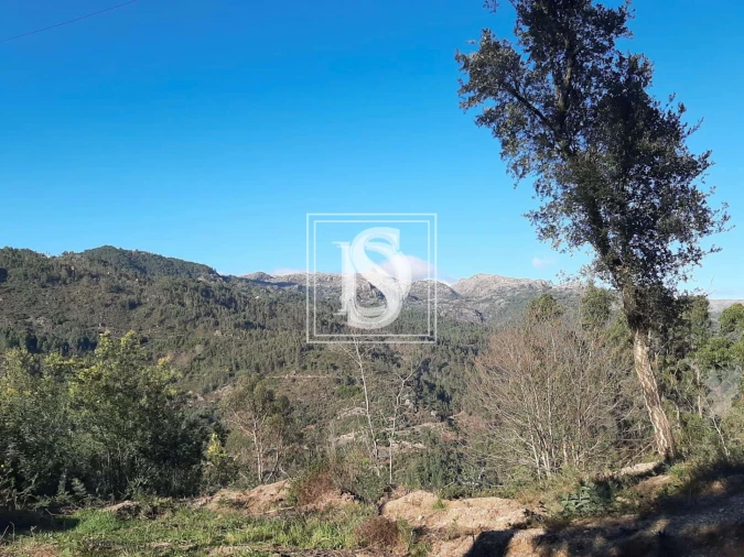 Terreno para Venda em Santa Clara de Louredo Foto 4