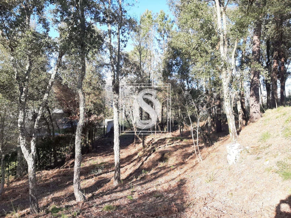 Terreno para Venda em Santa Clara de Louredo Foto 19