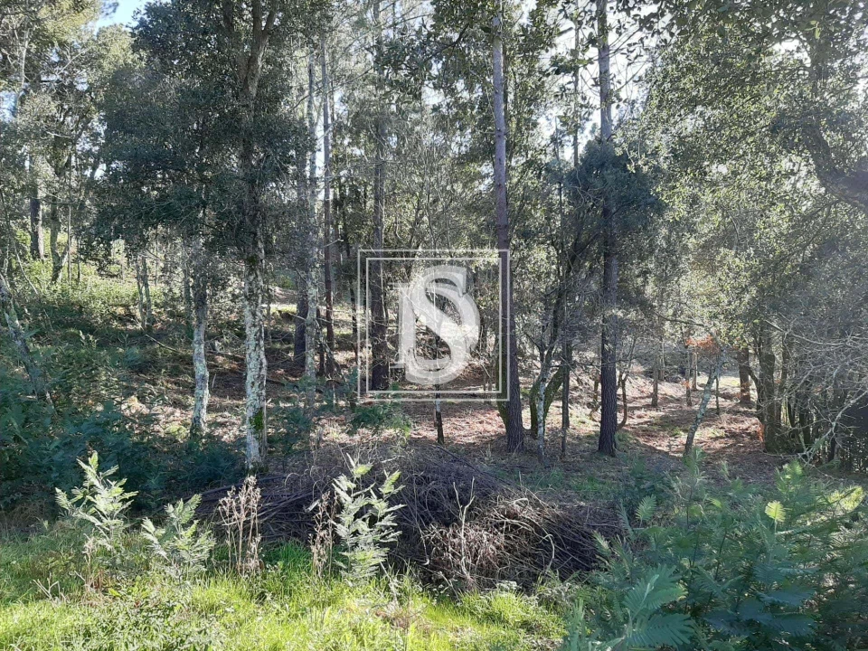 Terreno para Venda em Santa Clara de Louredo Foto 3