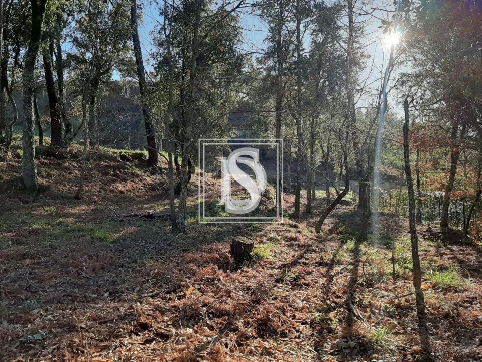 Terreno para Venda em Santa Clara de Louredo Foto 15