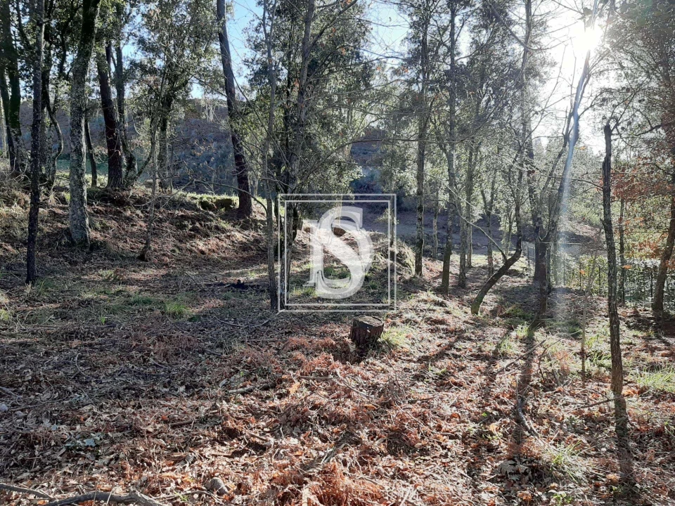 Terreno para Venda em Santa Clara de Louredo Foto 13