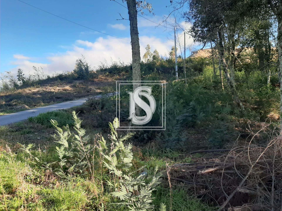 Terreno para Venda em Santa Clara de Louredo Foto 7
