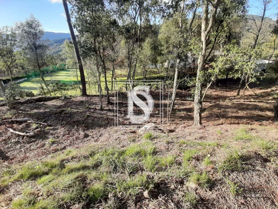 Terreno para Venda em Santa Clara de Louredo Foto 23