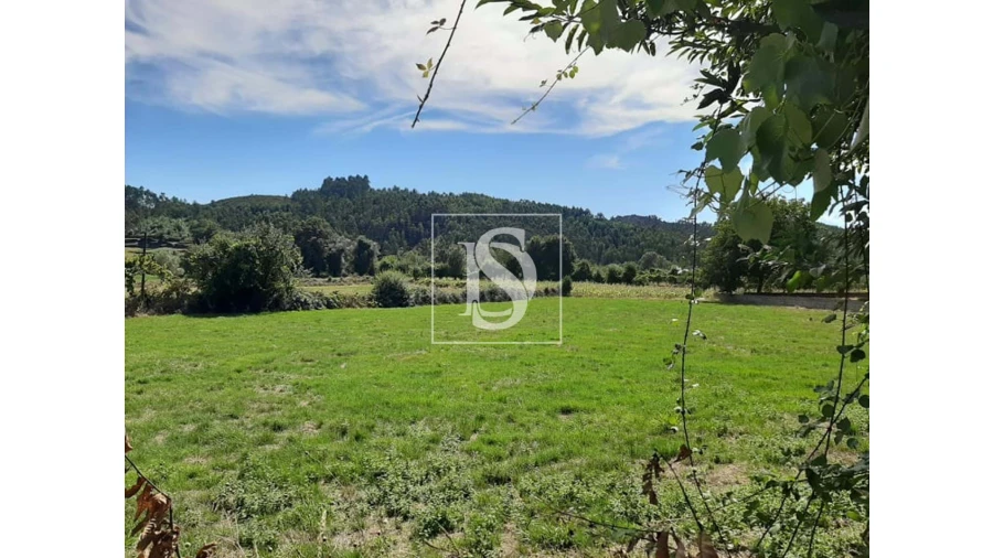 Terreno para Venda em Anissó e Soutelo Foto 1