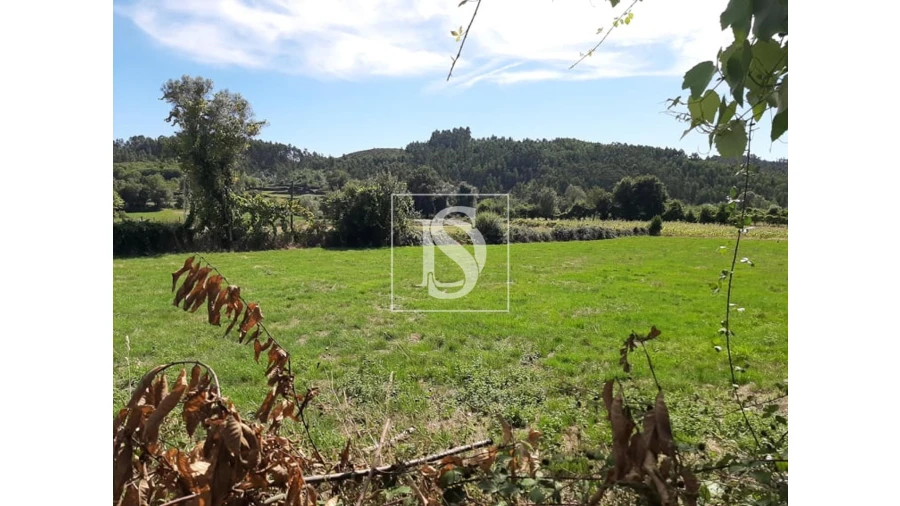 Terreno para Venda em Anissó e Soutelo Foto 7