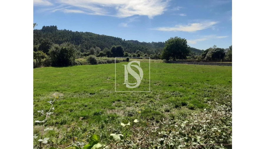 Terreno para Venda em Anissó e Soutelo Foto 9