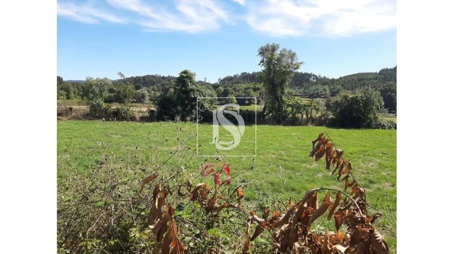 Terreno para Venda em Anissó e Soutelo Foto 4