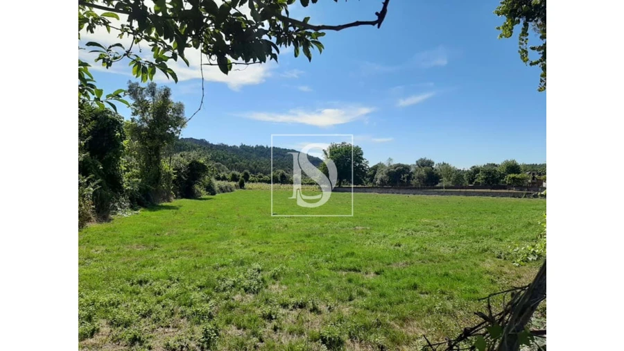 Terreno para Venda em Anissó e Soutelo Foto 11