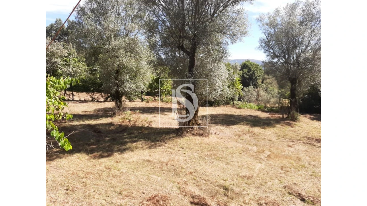 Terreno para Venda em Anissó e Soutelo Foto 2